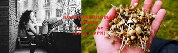 хмурый Богородск