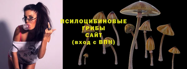 наркотики Богородицк
