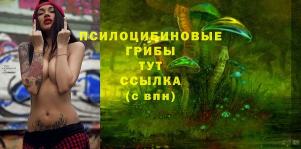 наркотики Богородицк
