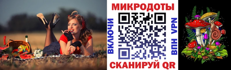 Псилоцибиновые грибы Psilocybine cubensis  Купить где  Вязники 